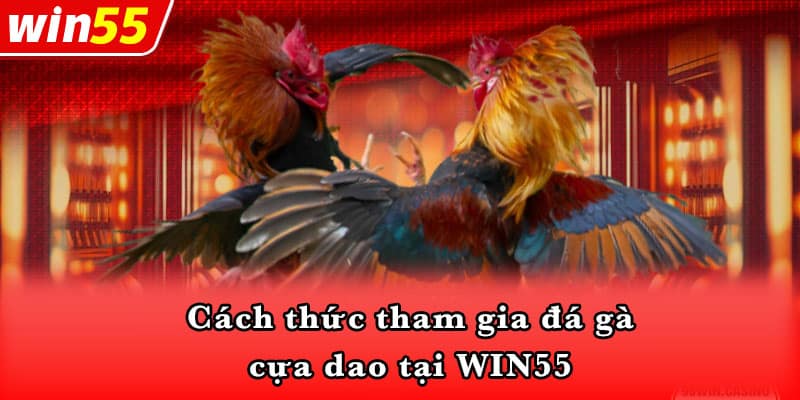 Cách thức tham gia đá gà cựa dao tại WIN55