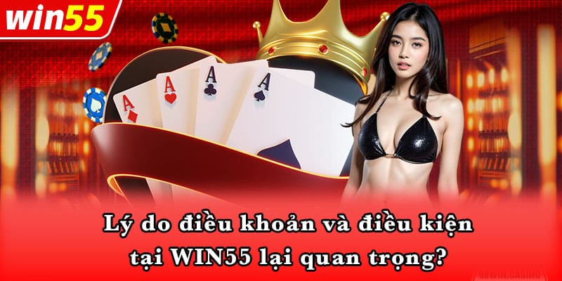 Lý do điều khoản và điều kiện tại WIN55 lại quan trọng?