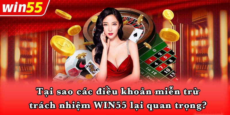 Tại sao các điều khoản miễn trừ trách nhiệm WIN55 lại quan trọng?