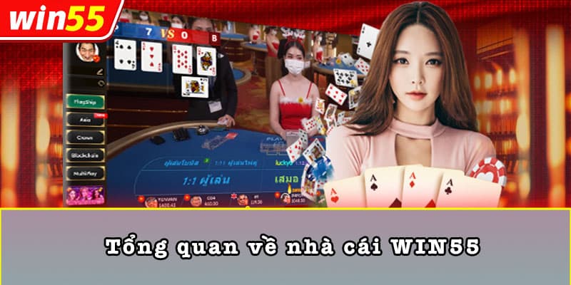 Tổng quan về nhà cái WIN55