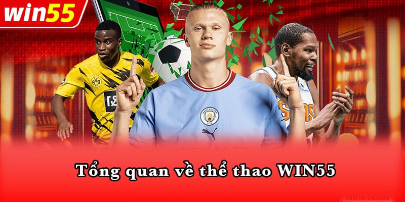 Tổng quan về thể thao WIN55 